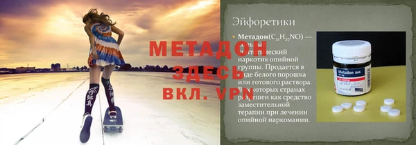 индика Бикин