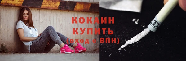 шишки Богданович