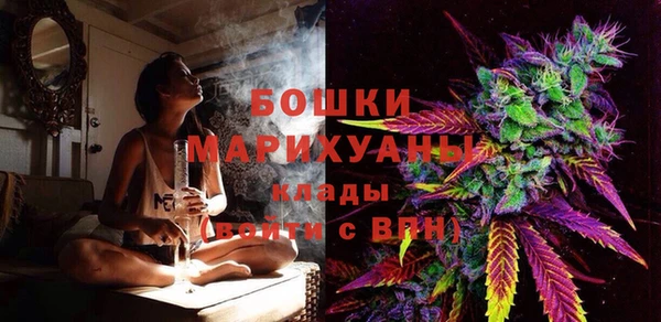 шишки Богданович