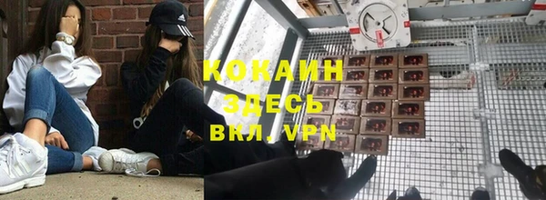 шишки Богданович