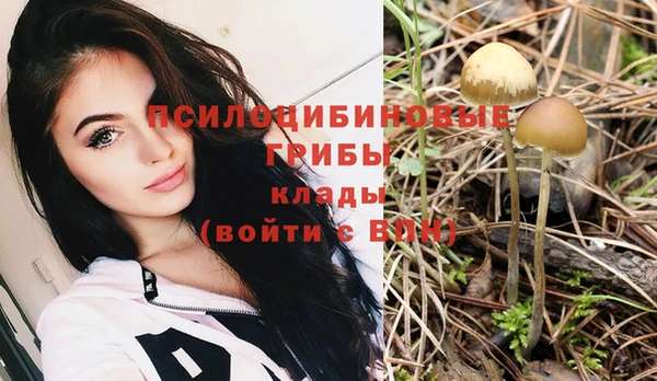 шишки Богданович