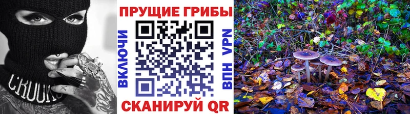 Галлюциногенные грибы GOLDEN TEACHER  Буйнакск 