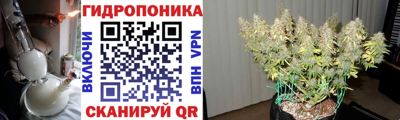 Шишки марихуана тримм  Буйнакск 